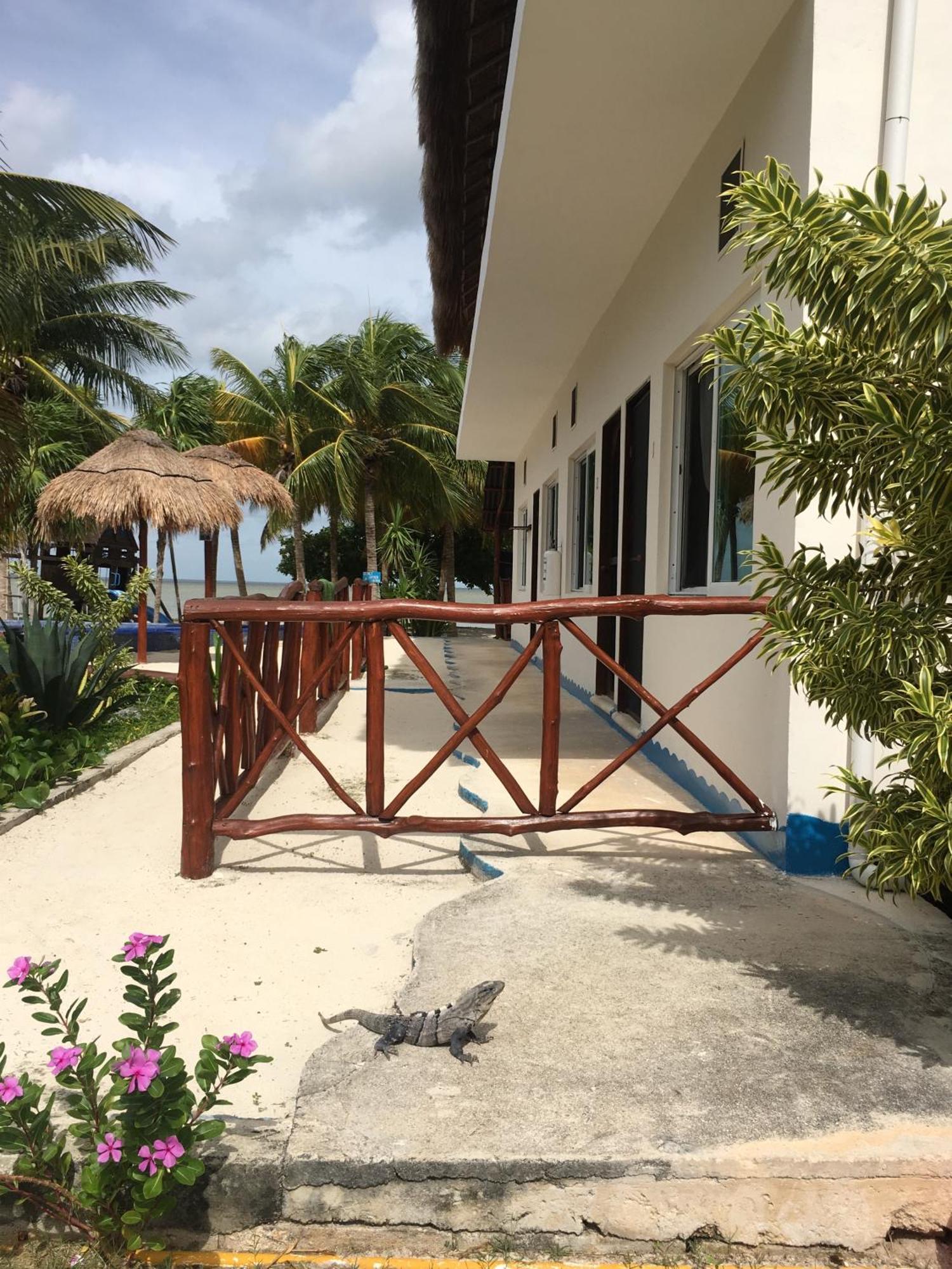 Ikarus Costa Mujeres Eco Lodge Sunset View Cancun Exterior photo